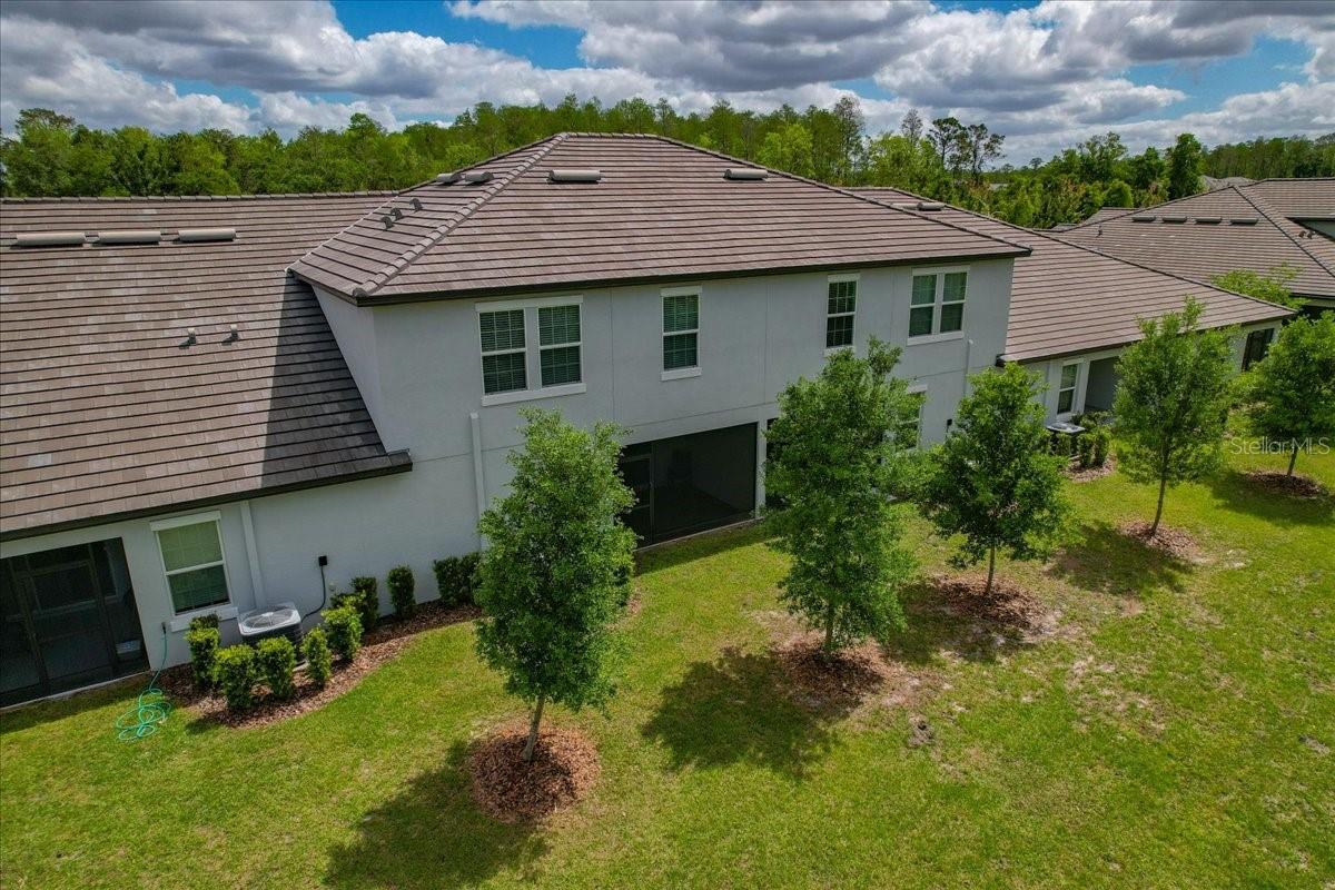 16673 SHELL BAY DR, LAND O LAKES, FL, 34638