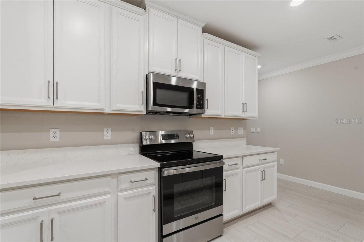 16673 SHELL BAY DR, LAND O LAKES, FL, 34638