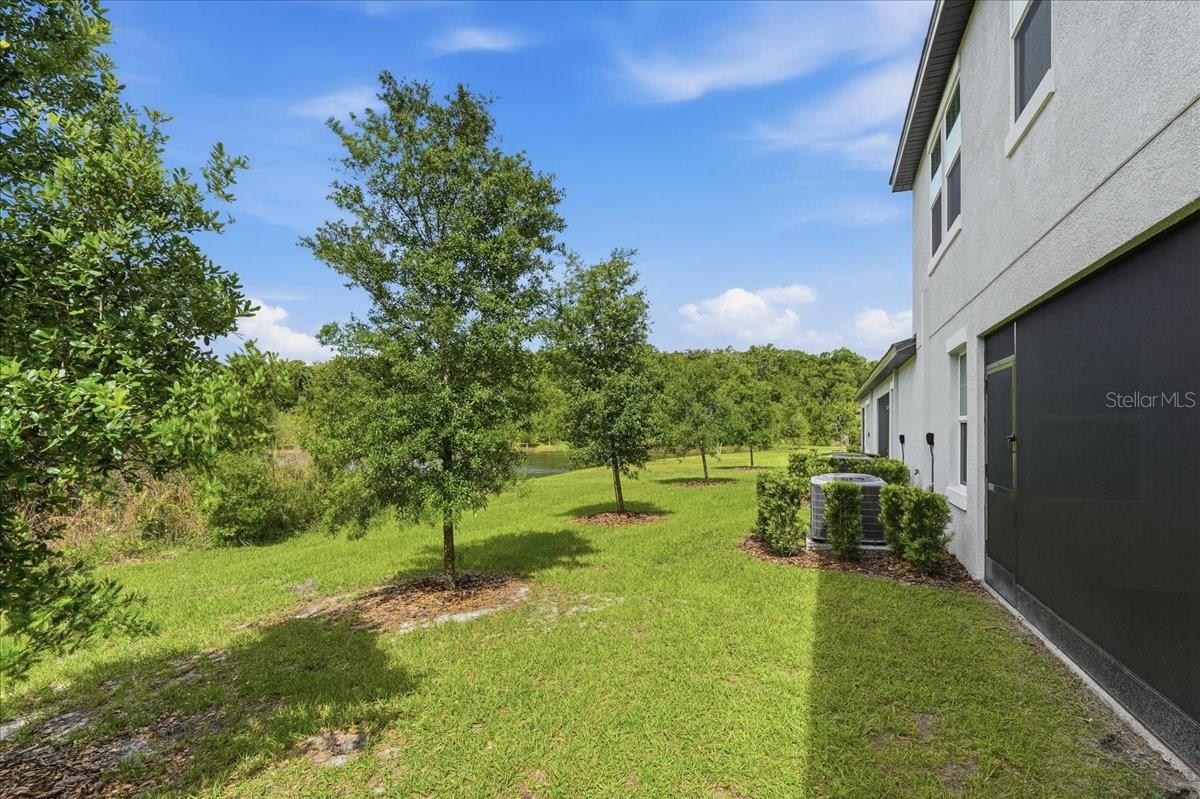 16673 SHELL BAY DR, LAND O LAKES, FL, 34638