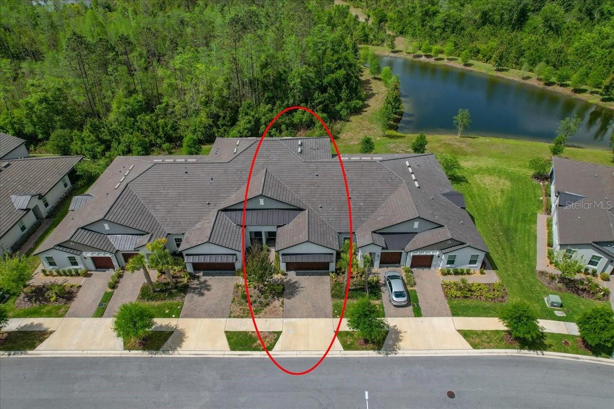 16673 SHELL BAY DR, LAND O LAKES, FL, 34638