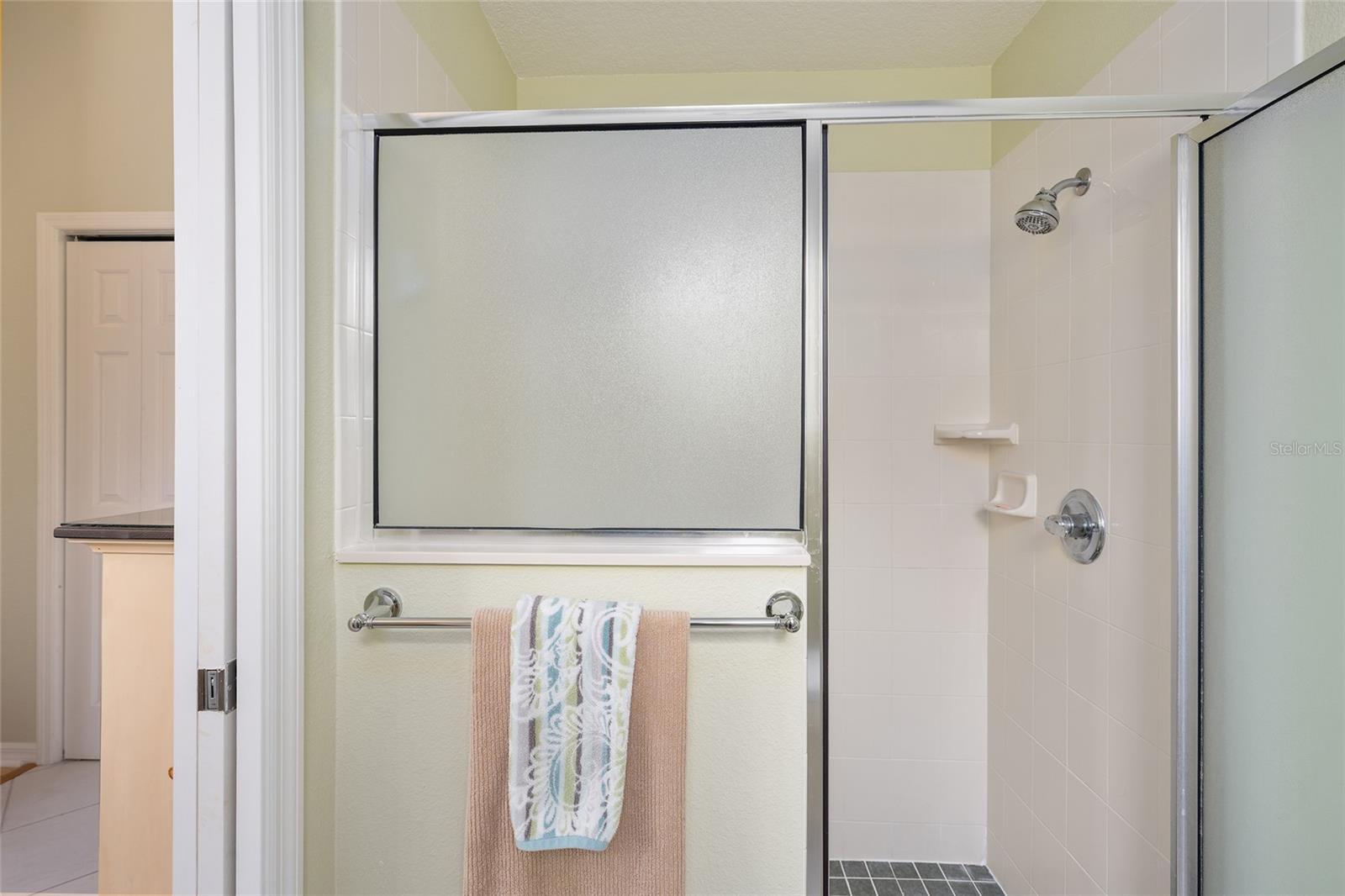 1348 HONEA PATH, THE VILLAGES, FL, 32162