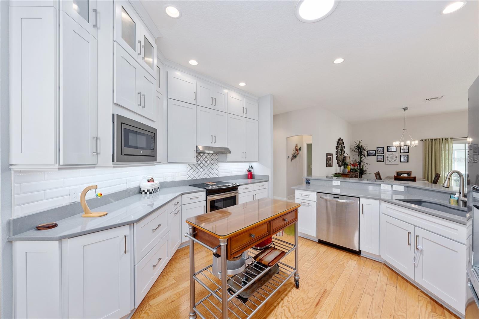 1348 HONEA PATH, THE VILLAGES, FL, 32162