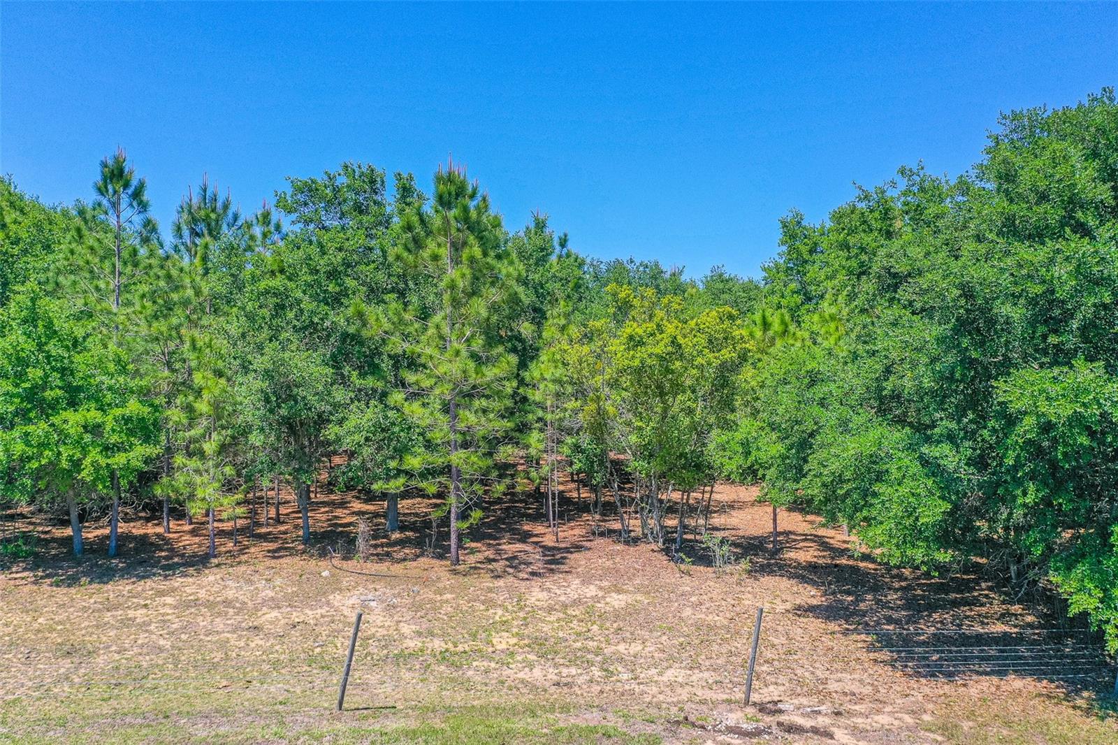 107 EDGEWOOD BLVD, LAKE WALES, FL, 33898