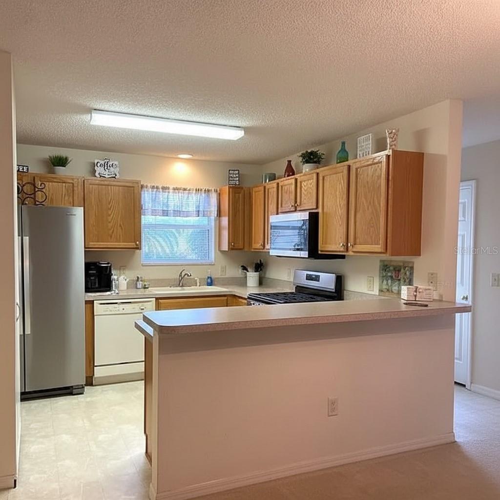 9523 SE 168TH MAPLESONG LN, THE VILLAGES, FL, 32162