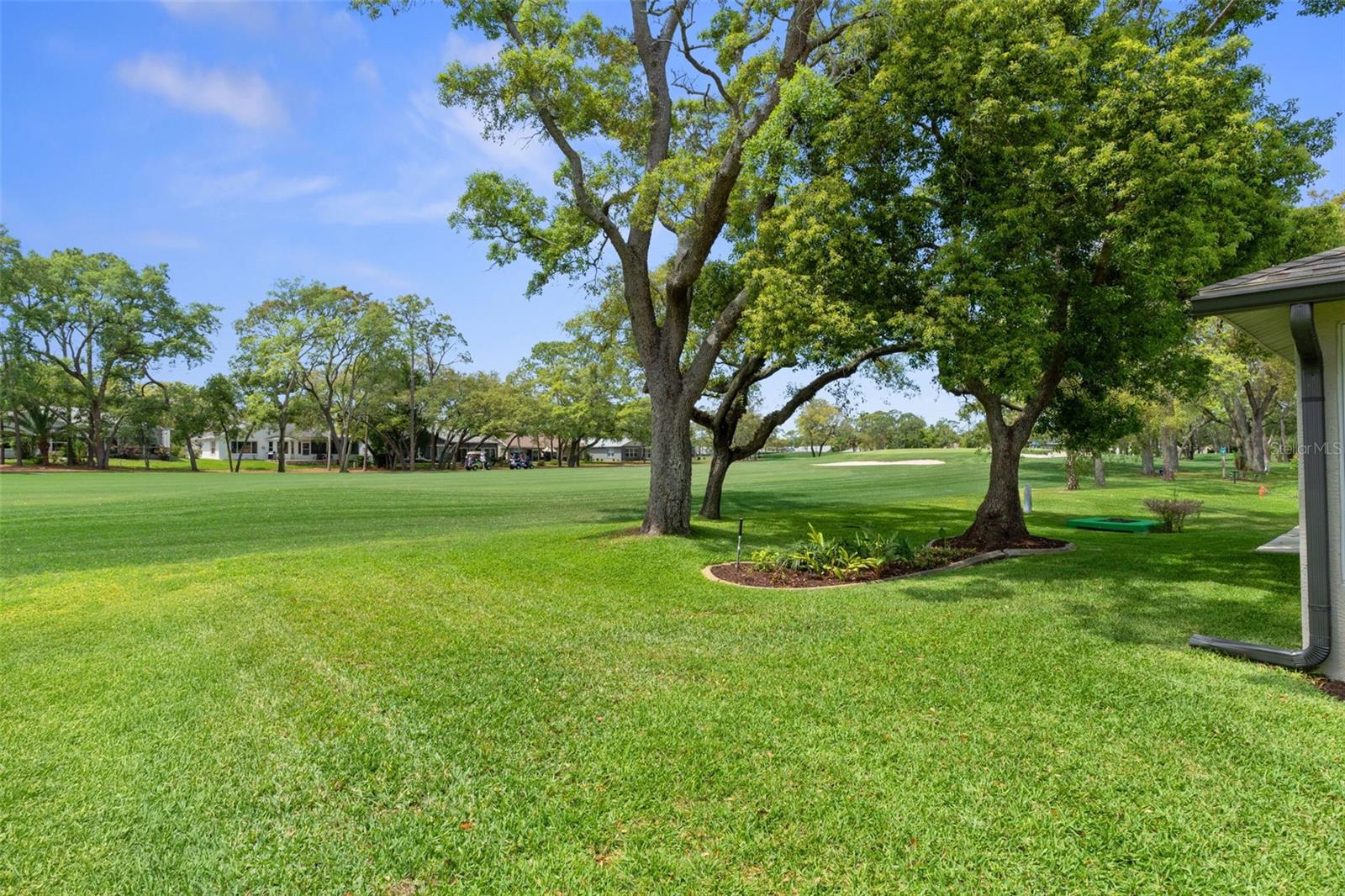 6357 PINE MEADOWS DR, SPRING HILL, FL, 34606