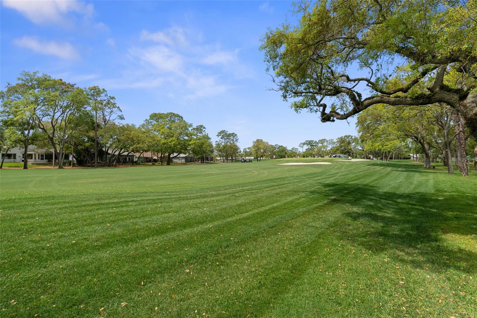 6357 PINE MEADOWS DR, SPRING HILL, FL, 34606