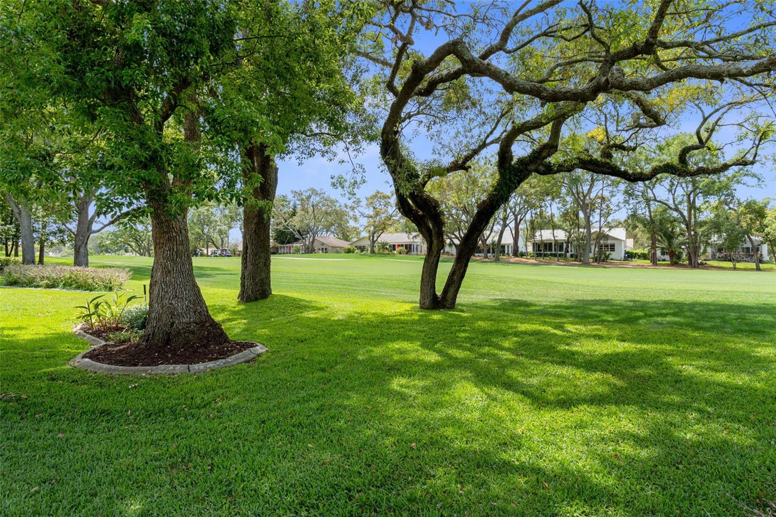 6357 PINE MEADOWS DR, SPRING HILL, FL, 34606