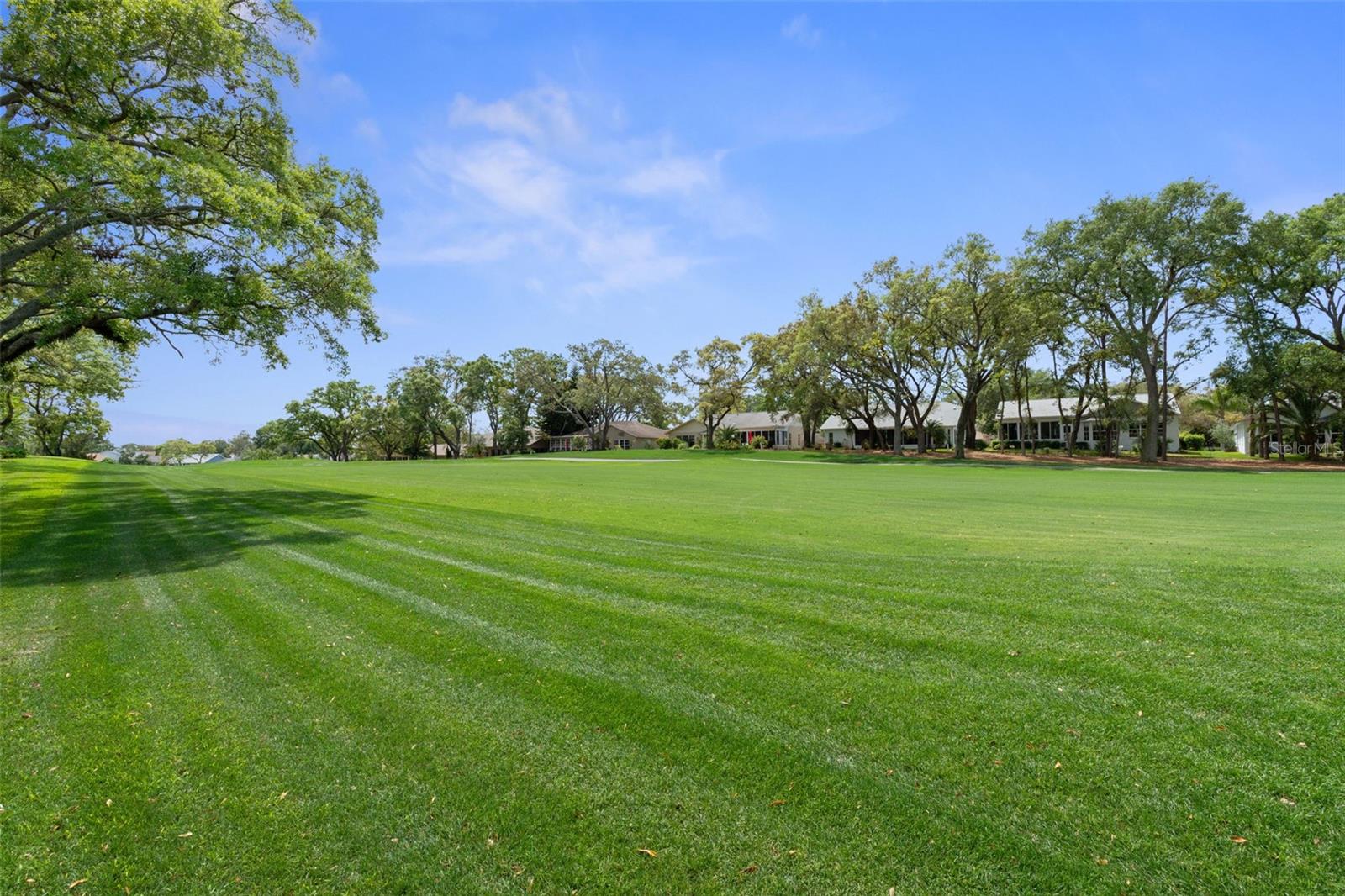 6357 PINE MEADOWS DR, SPRING HILL, FL, 34606