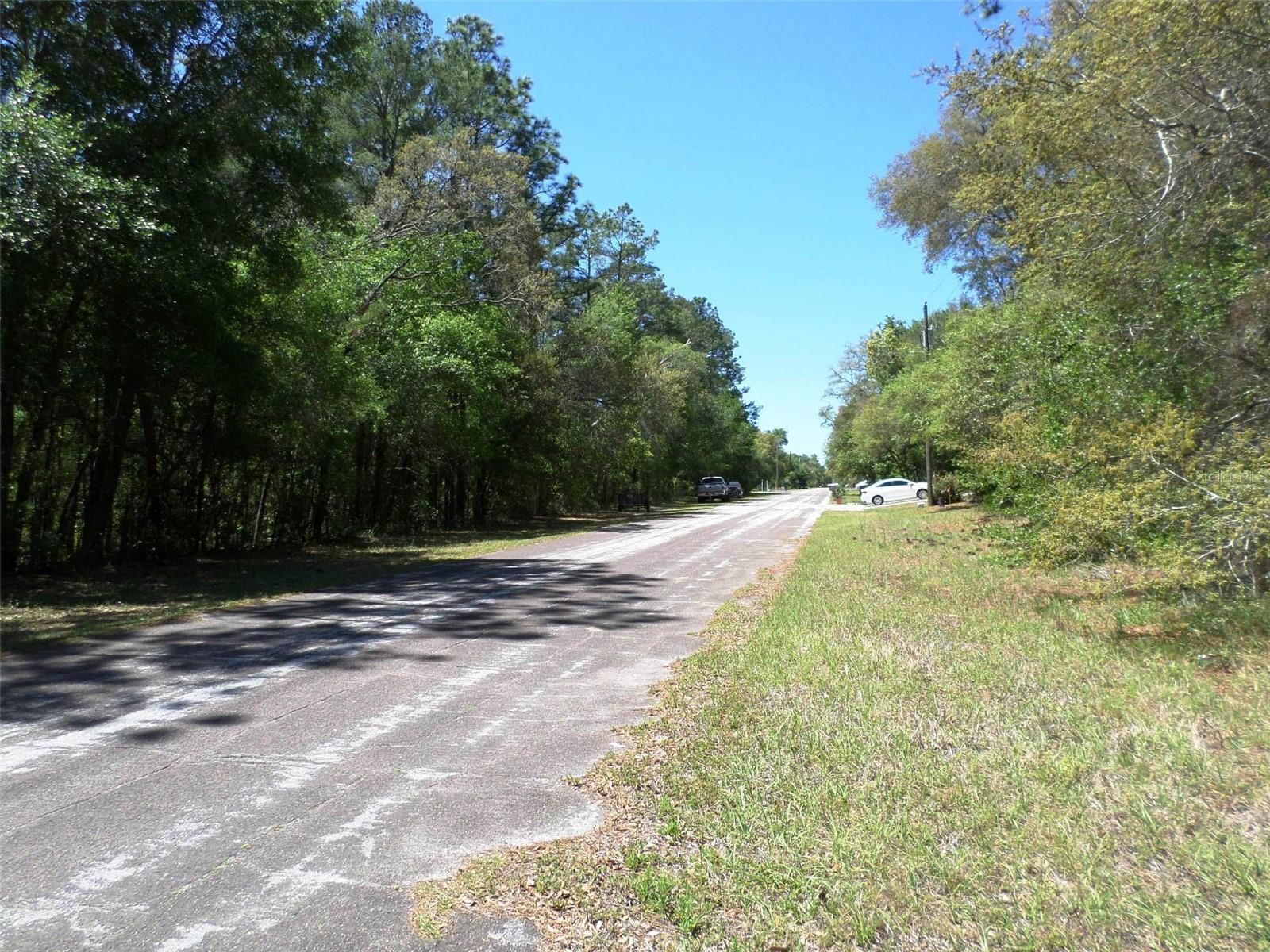 1361 W SAINT ELIZABETH PL, CITRUS SPRINGS, FL, 34434