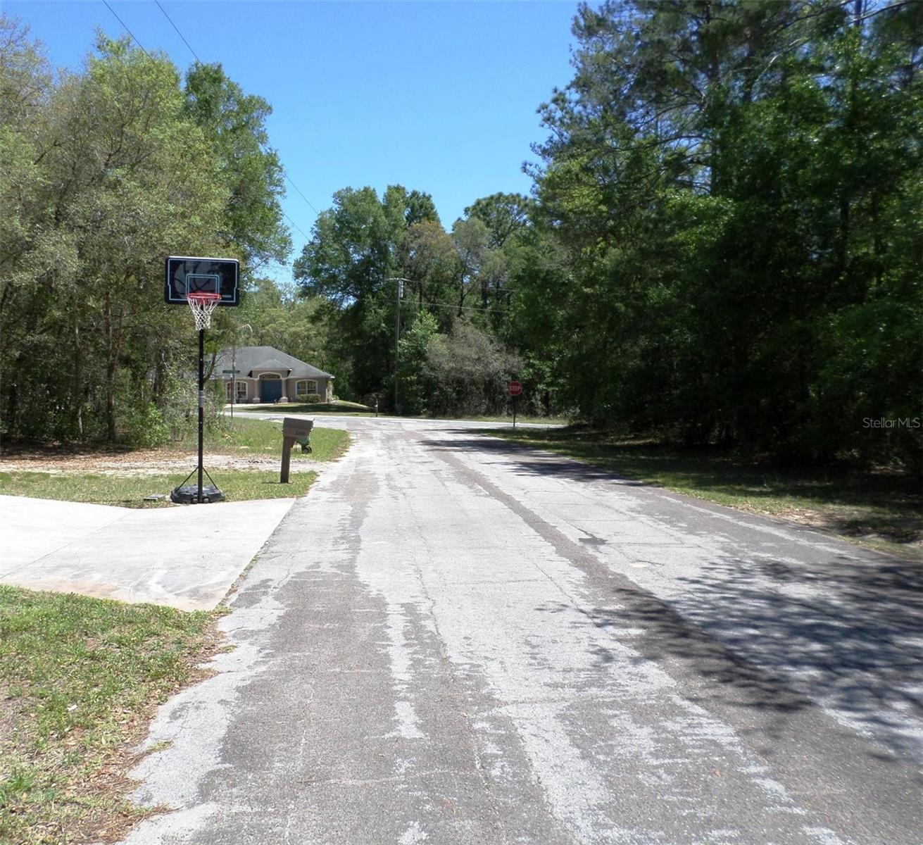 1361 W SAINT ELIZABETH PL, CITRUS SPRINGS, FL, 34434