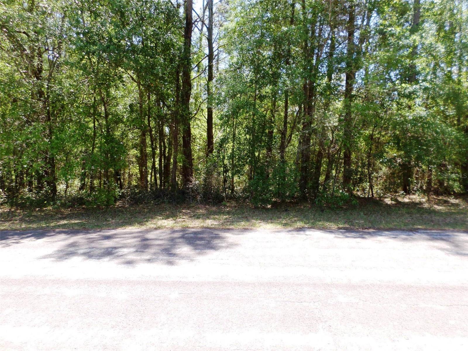 1361 W SAINT ELIZABETH PL, CITRUS SPRINGS, FL, 34434