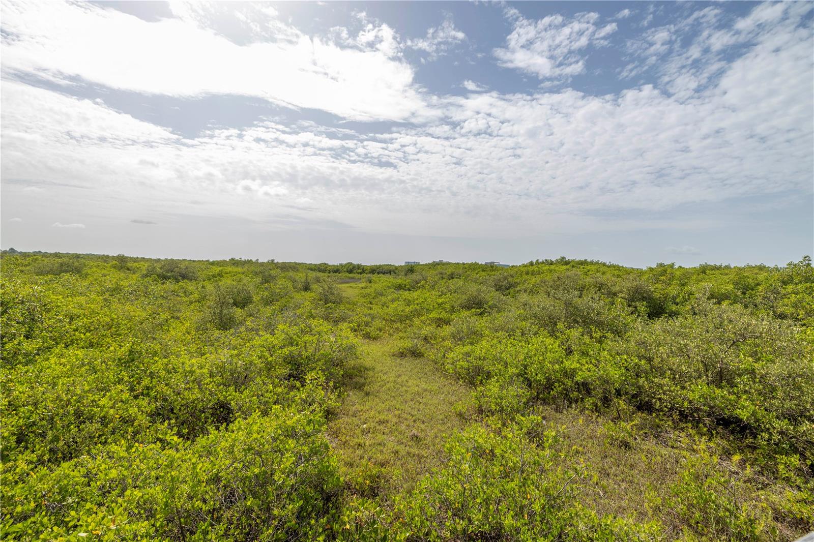 4333 BAYSIDE VILLAGE DR #214, TAMPA, FL, 33615