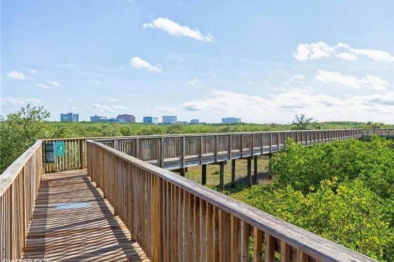 4333 BAYSIDE VILLAGE DR #214, TAMPA, FL, 33615