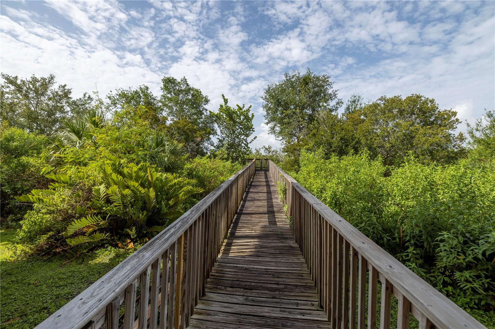 4333 BAYSIDE VILLAGE DR #214, TAMPA, FL, 33615