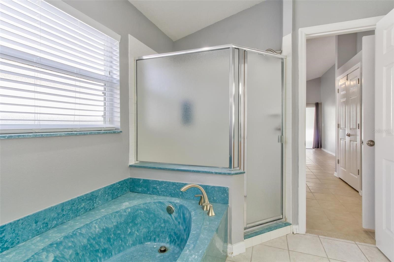 12446 BOHANNON BLVD, ORLANDO, FL, 32824