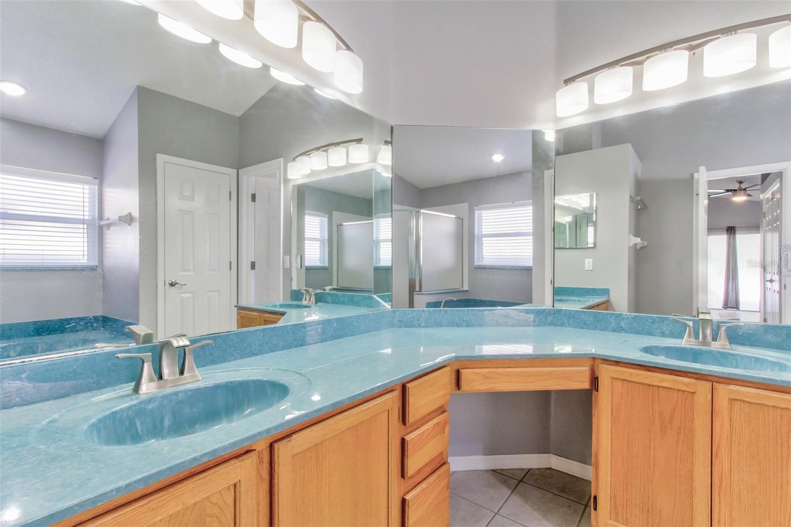 12446 BOHANNON BLVD, ORLANDO, FL, 32824