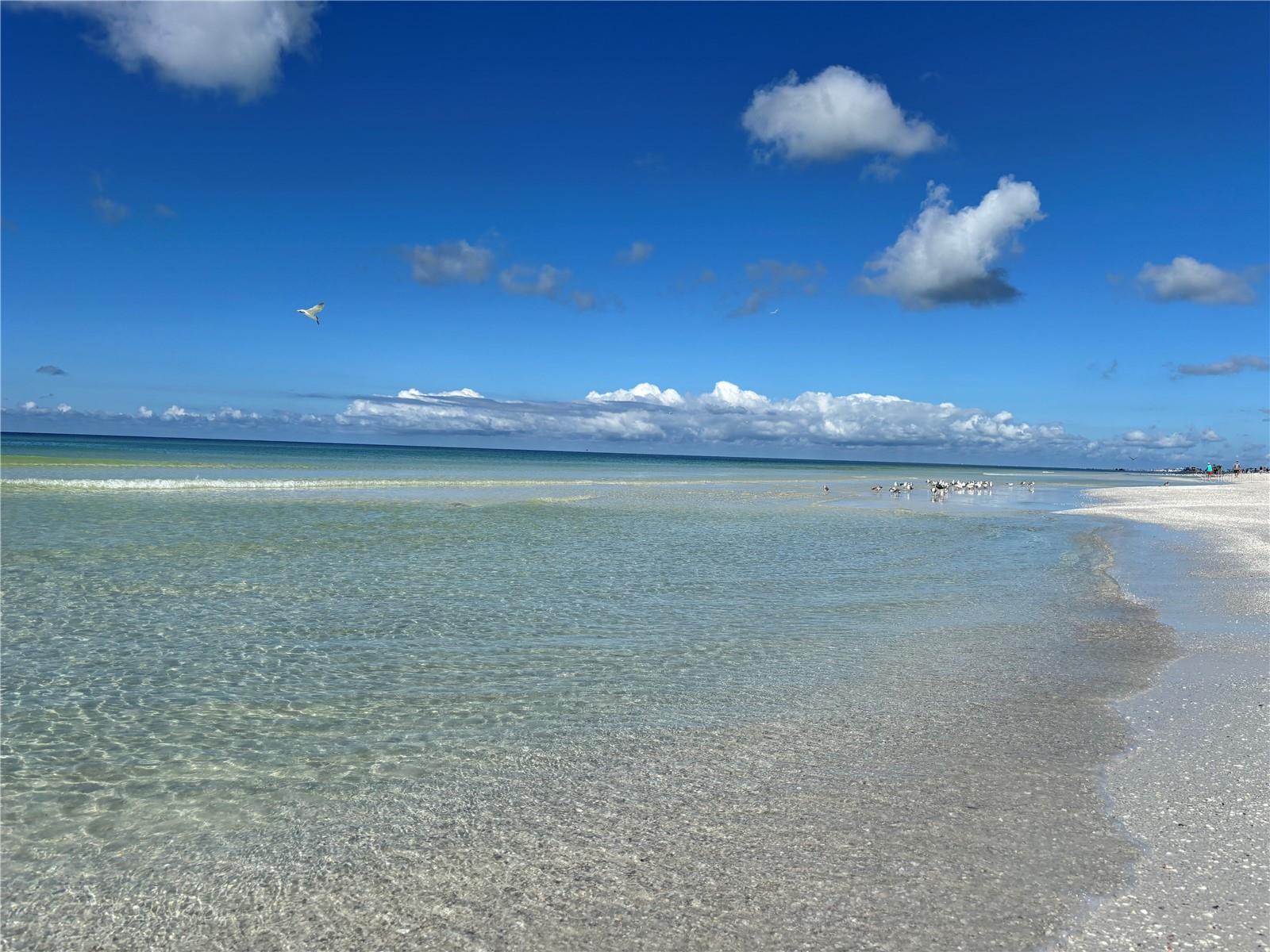 5476 SWIFT RD #19, SARASOTA, FL, 34231