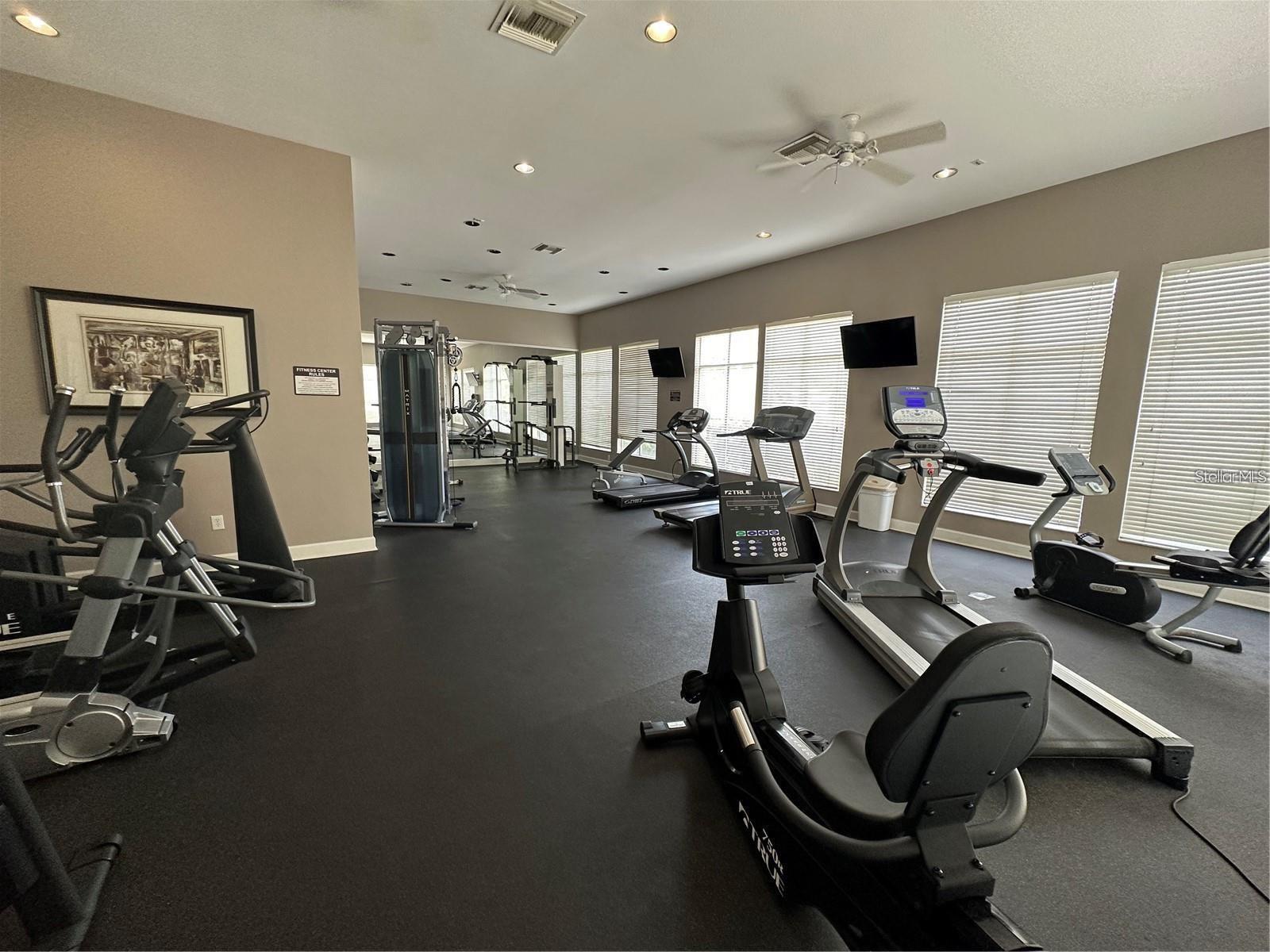 5125 PALM SPRINGS BLVD #13104, TAMPA, FL, 33647