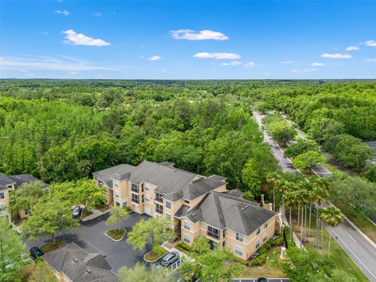 5125 PALM SPRINGS BLVD #13104, TAMPA, FL, 33647