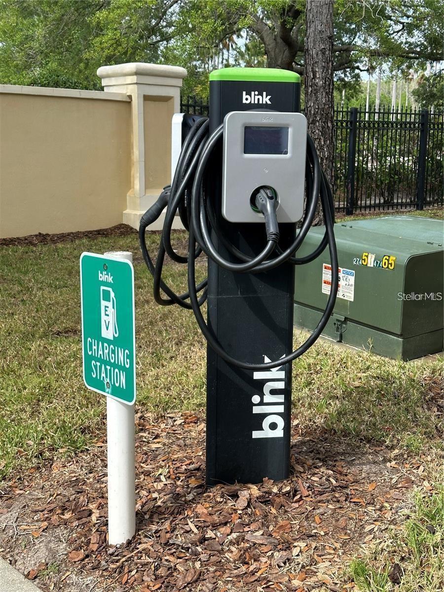 5125 PALM SPRINGS BLVD #13104, TAMPA, FL, 33647