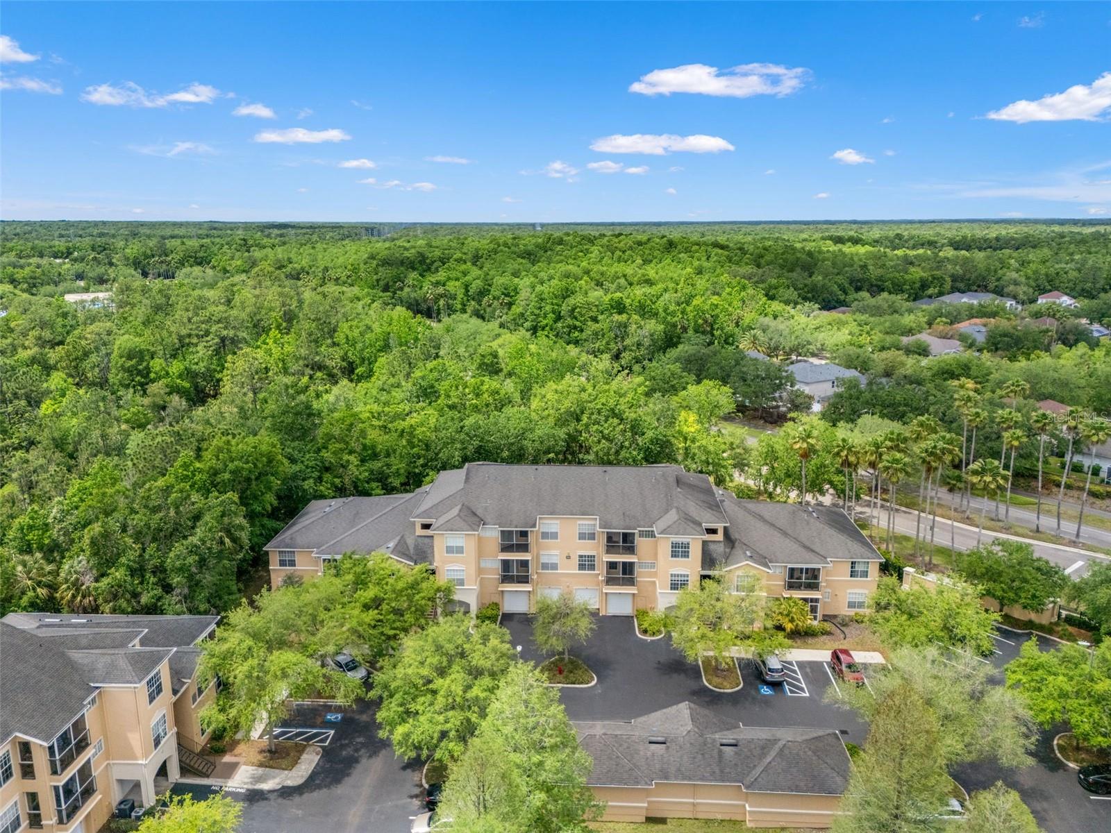 5125 PALM SPRINGS BLVD #13104, TAMPA, FL, 33647