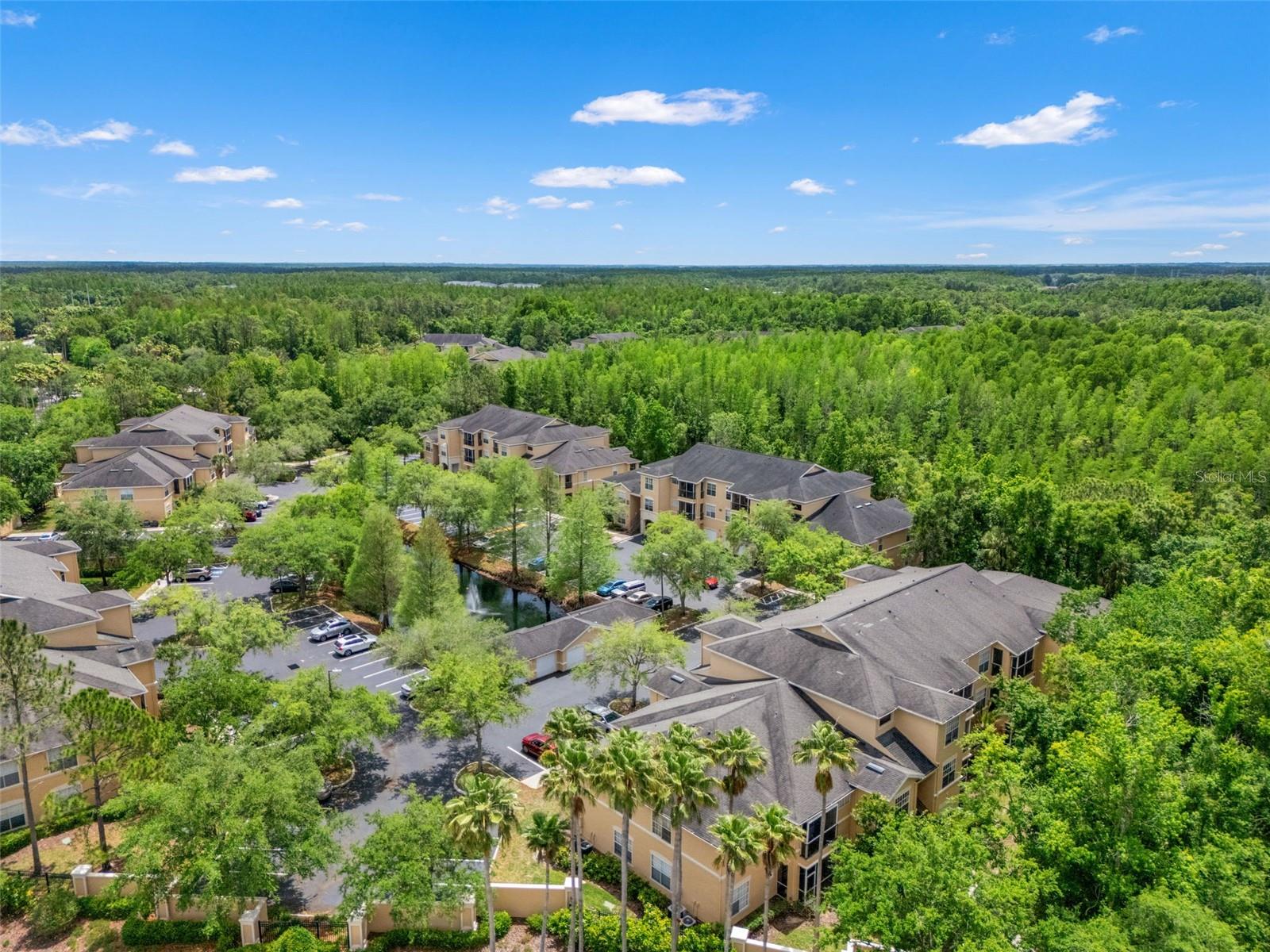 5125 PALM SPRINGS BLVD #13104, TAMPA, FL, 33647