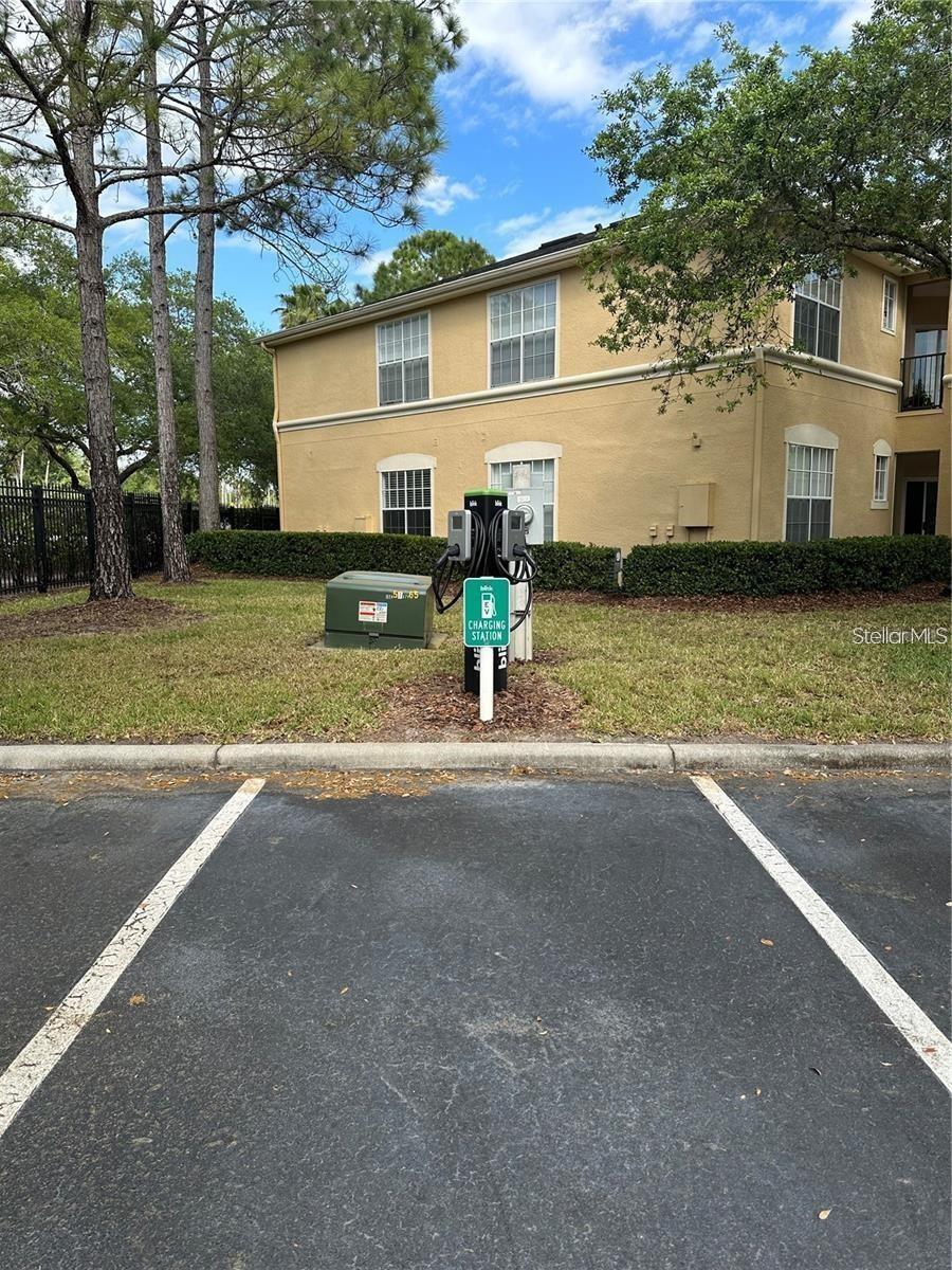 5125 PALM SPRINGS BLVD #13104, TAMPA, FL, 33647