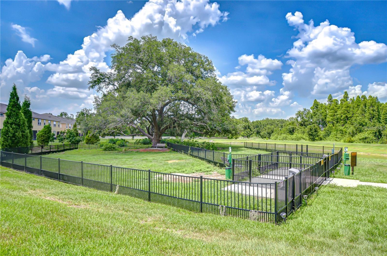 10335 HOLSTEIN EDGE PL, RIVERVIEW, FL, 33569