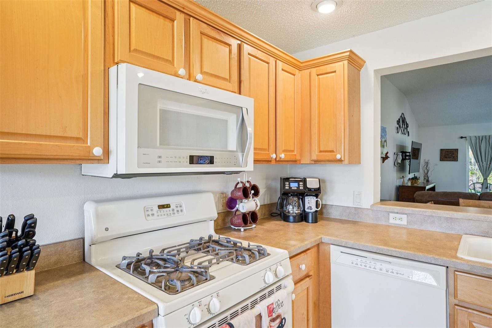 16596 SE 77TH NORTHRIDGE CT, THE VILLAGES, FL, 32162