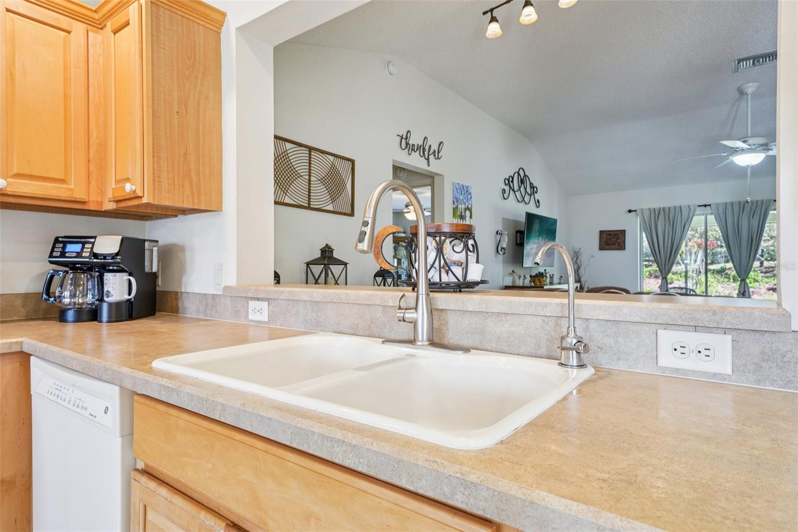 16596 SE 77TH NORTHRIDGE CT, THE VILLAGES, FL, 32162