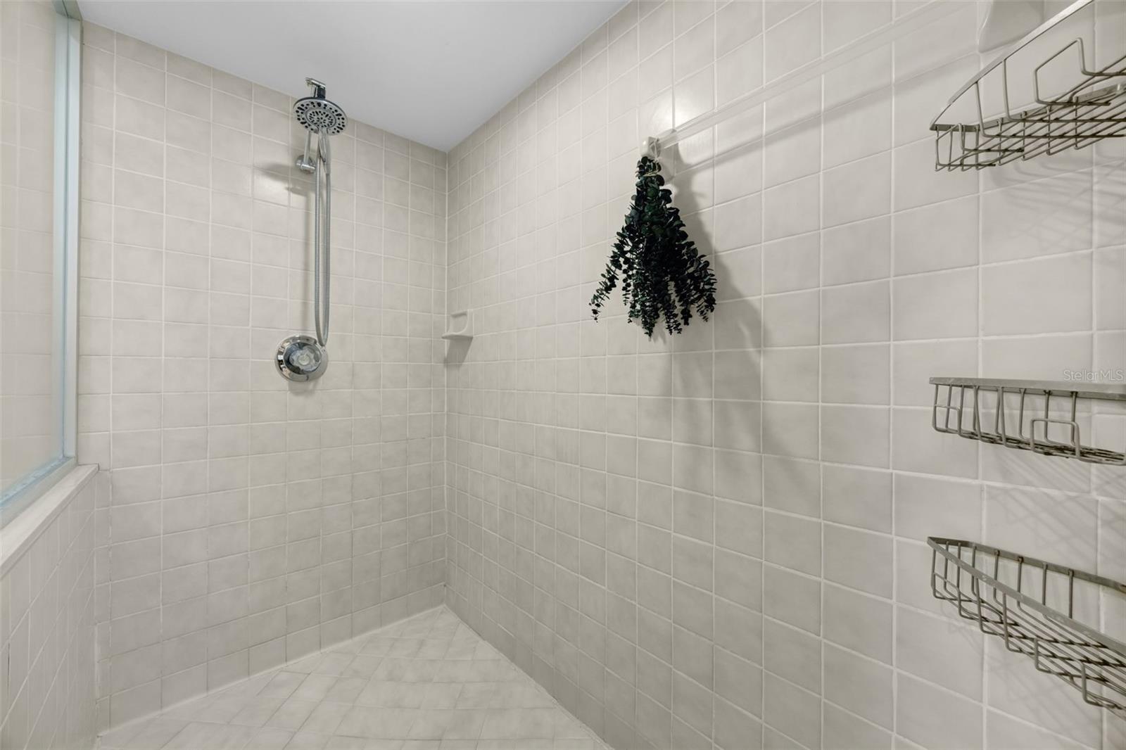 3006 SPRAWLING OAKS PL, VALRICO, FL, 33596