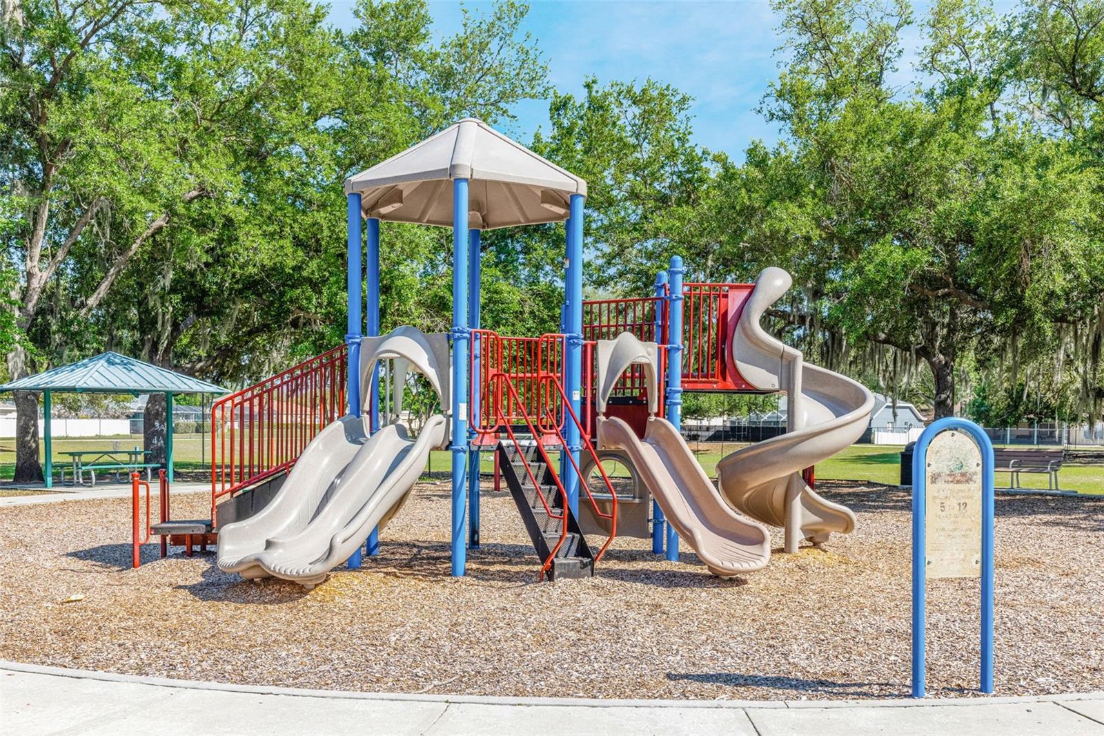 3006 SPRAWLING OAKS PL, VALRICO, FL, 33596