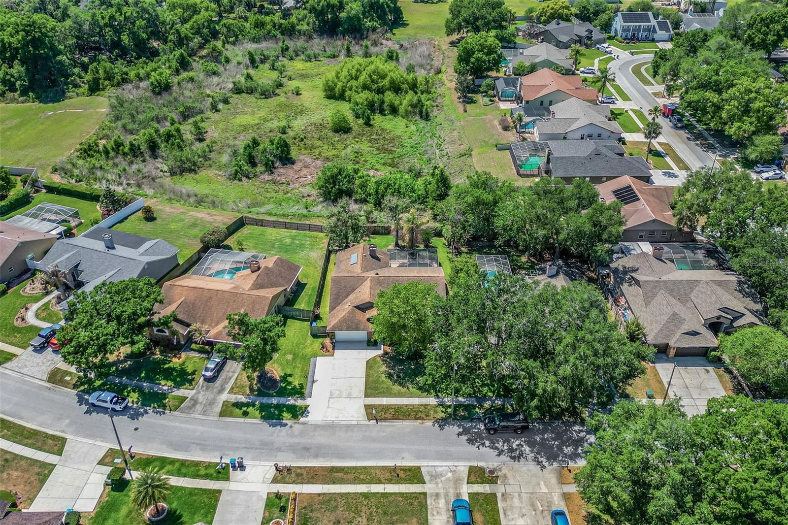 3006 SPRAWLING OAKS PL, VALRICO, FL, 33596