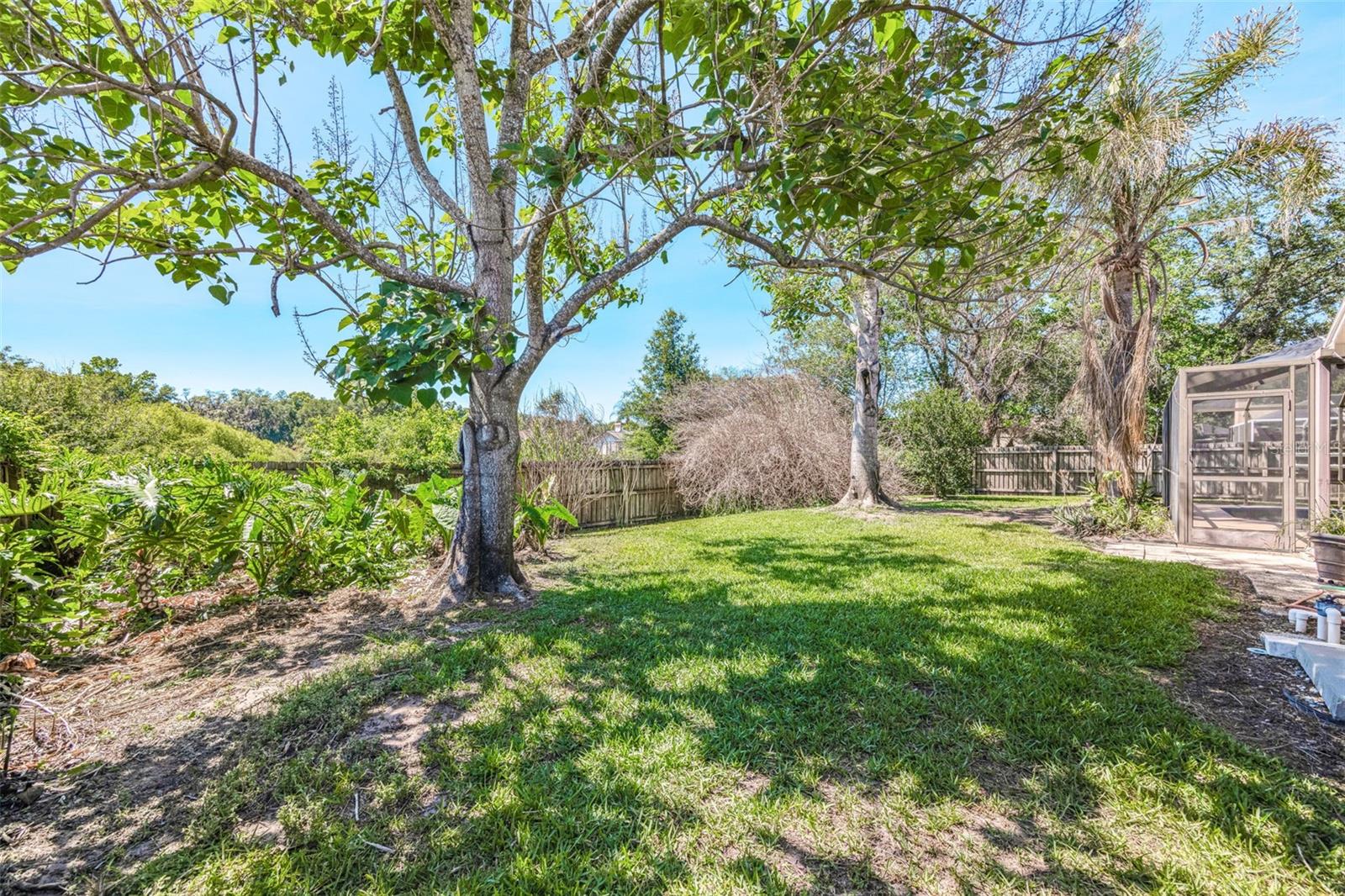 3006 SPRAWLING OAKS PL, VALRICO, FL, 33596