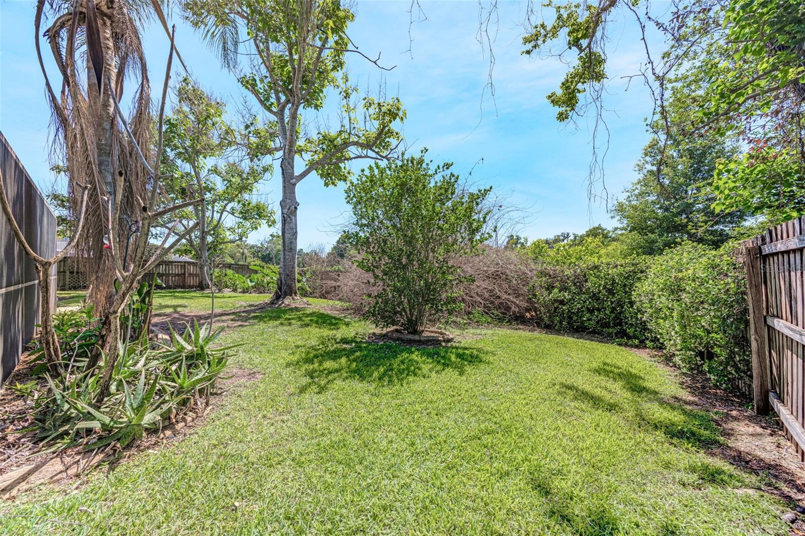 3006 SPRAWLING OAKS PL, VALRICO, FL, 33596