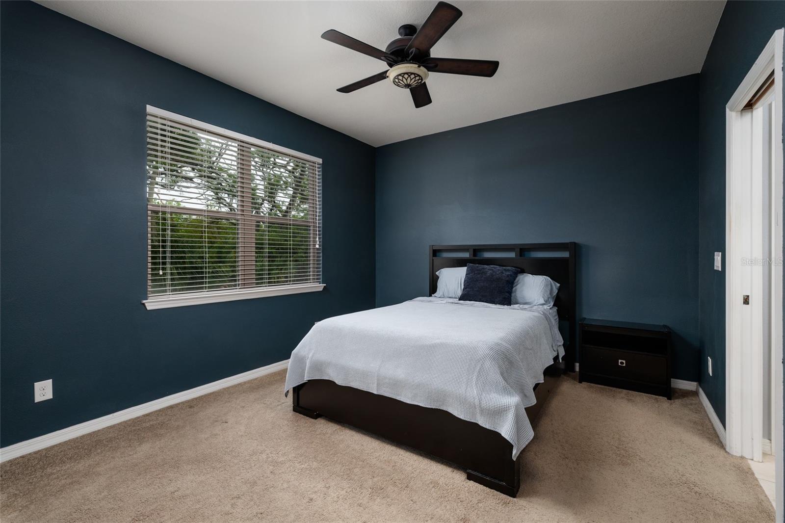 6408 YELLOW BUCKEYE DR, RIVERVIEW, FL, 33578