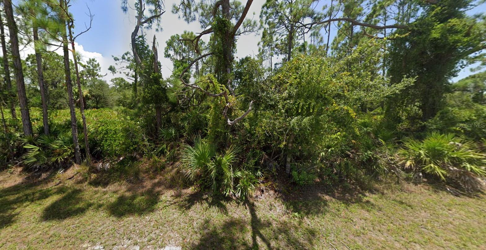 27043 TANGIER DR, PUNTA GORDA, FL, 33955
