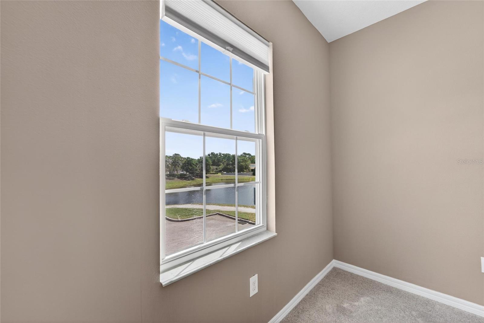 8108 MUDDY PINES PL, TAMPA, FL, 33635