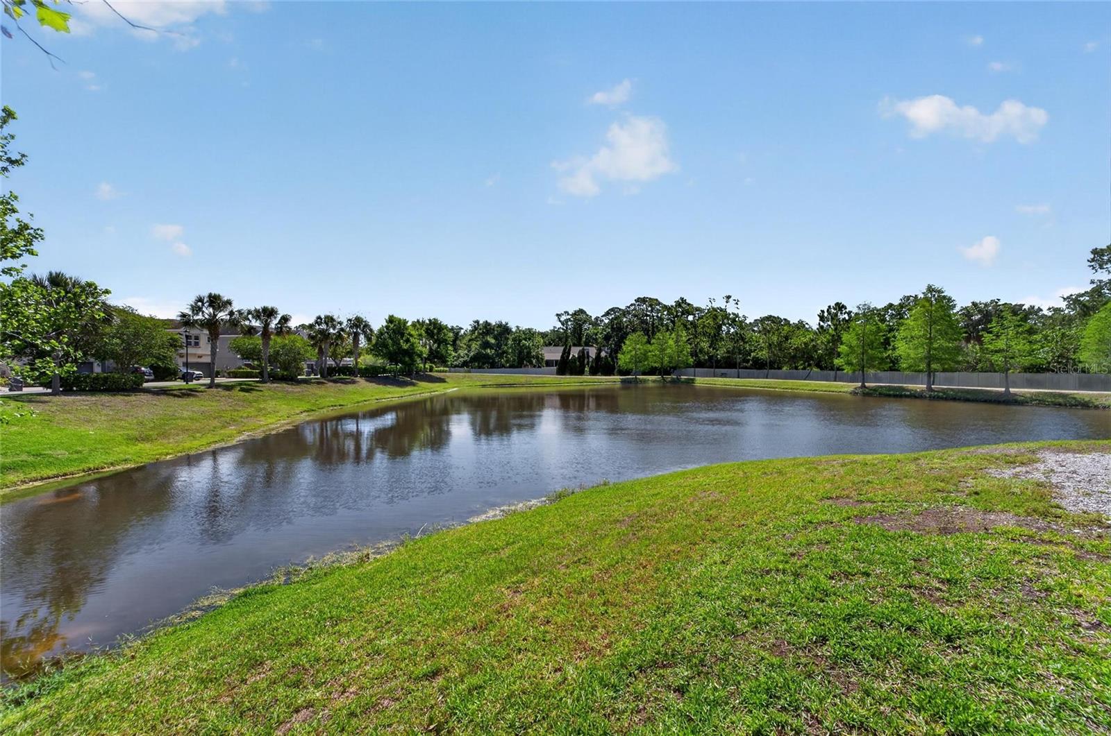 8108 MUDDY PINES PL, TAMPA, FL, 33635