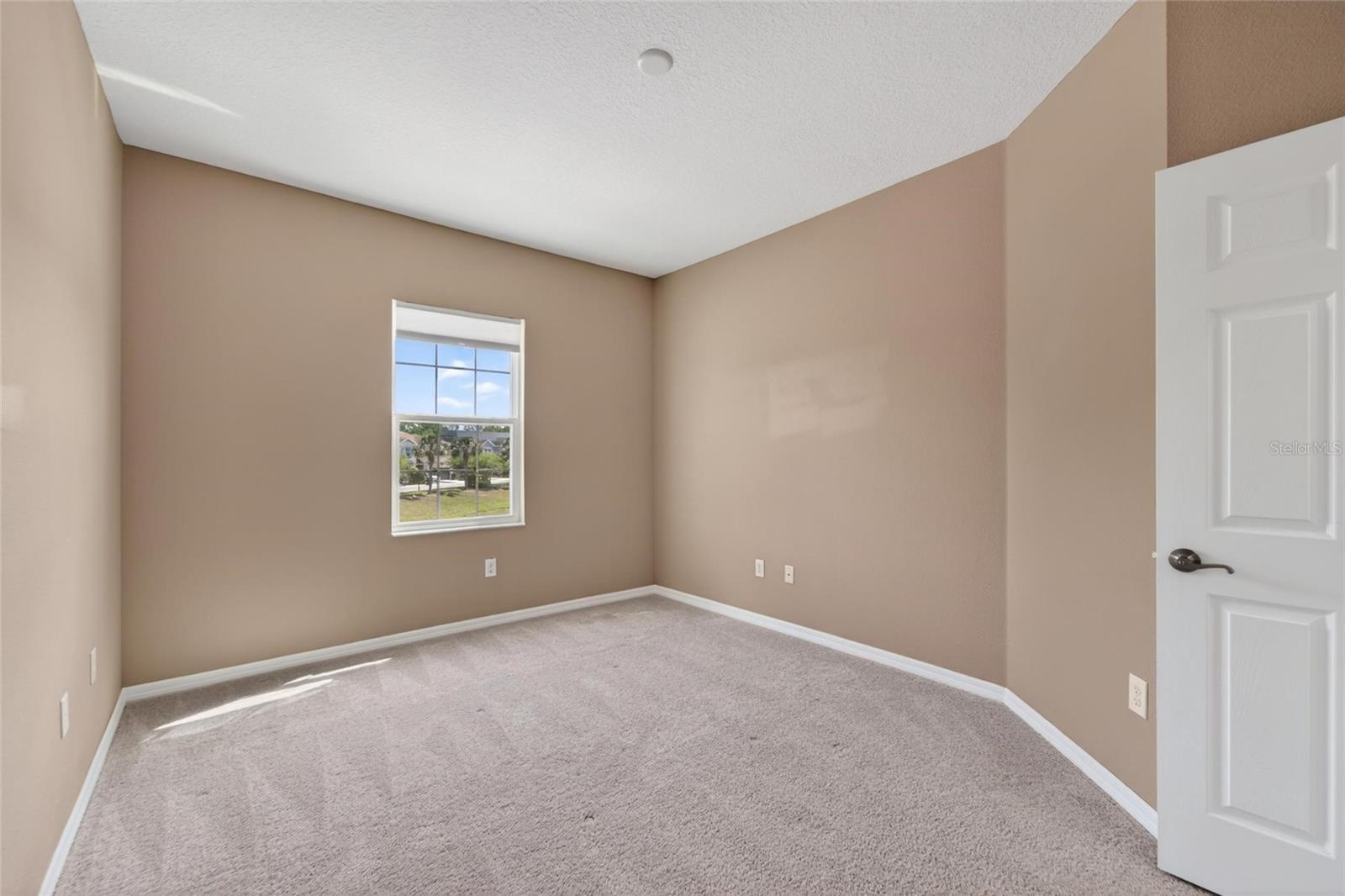 8108 MUDDY PINES PL, TAMPA, FL, 33635