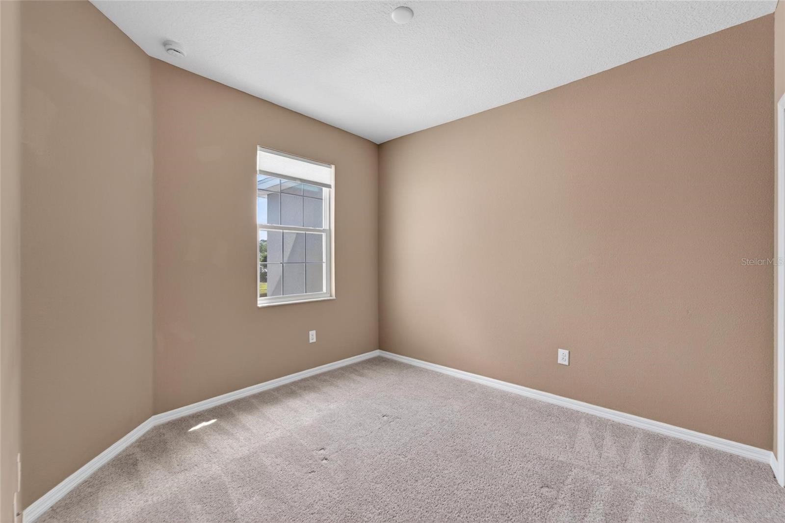 8108 MUDDY PINES PL, TAMPA, FL, 33635