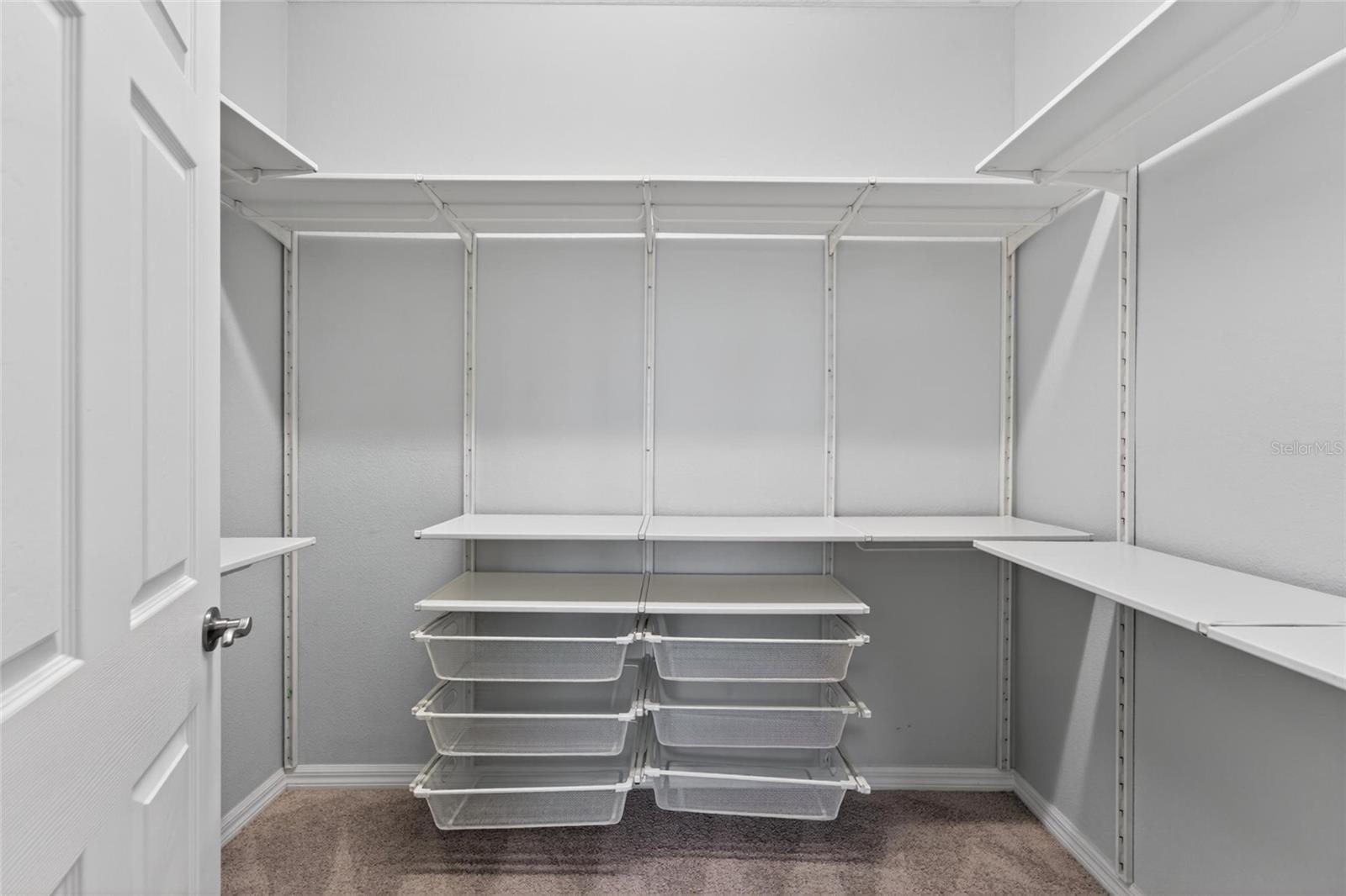 8108 MUDDY PINES PL, TAMPA, FL, 33635