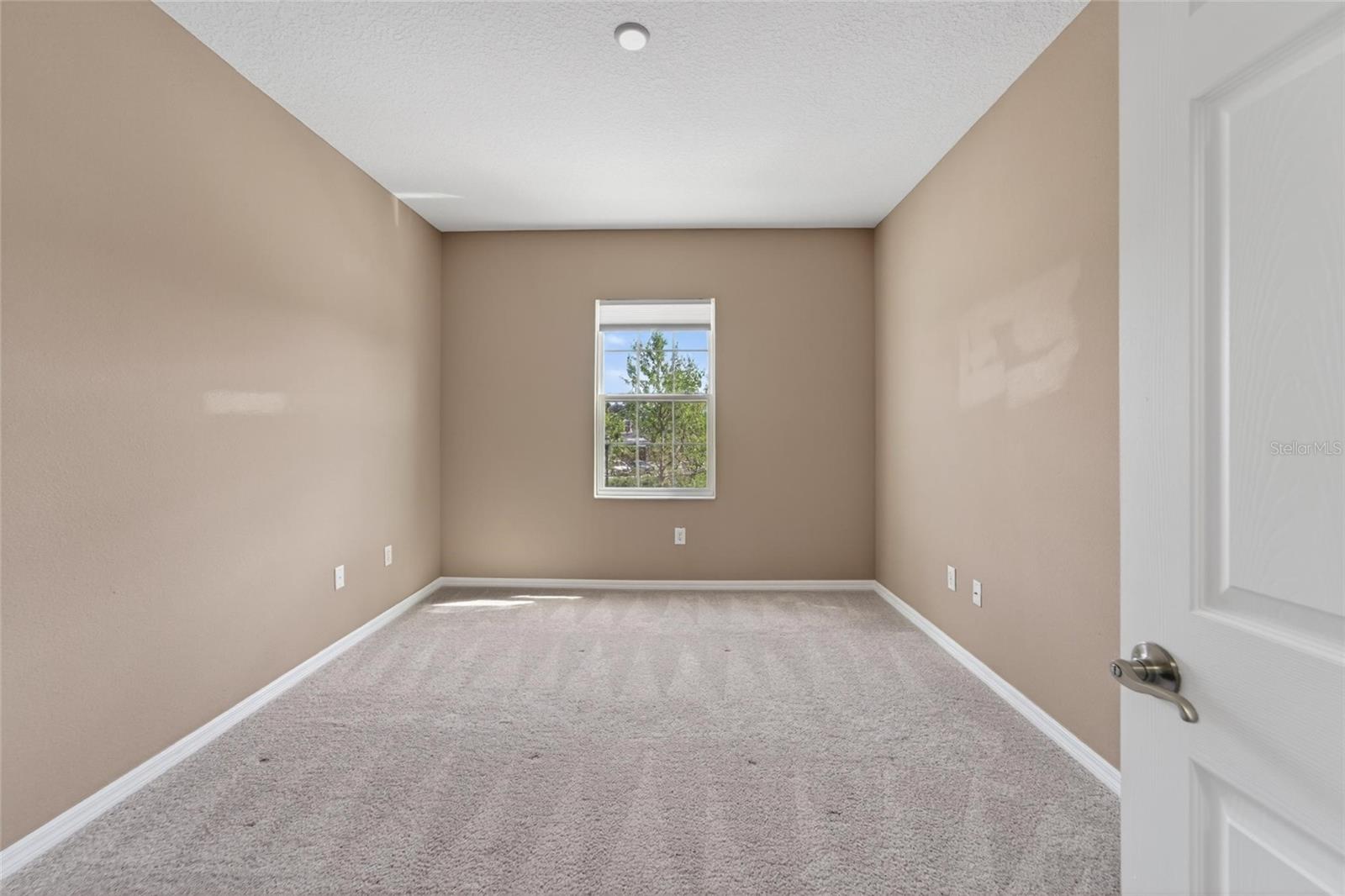 8108 MUDDY PINES PL, TAMPA, FL, 33635