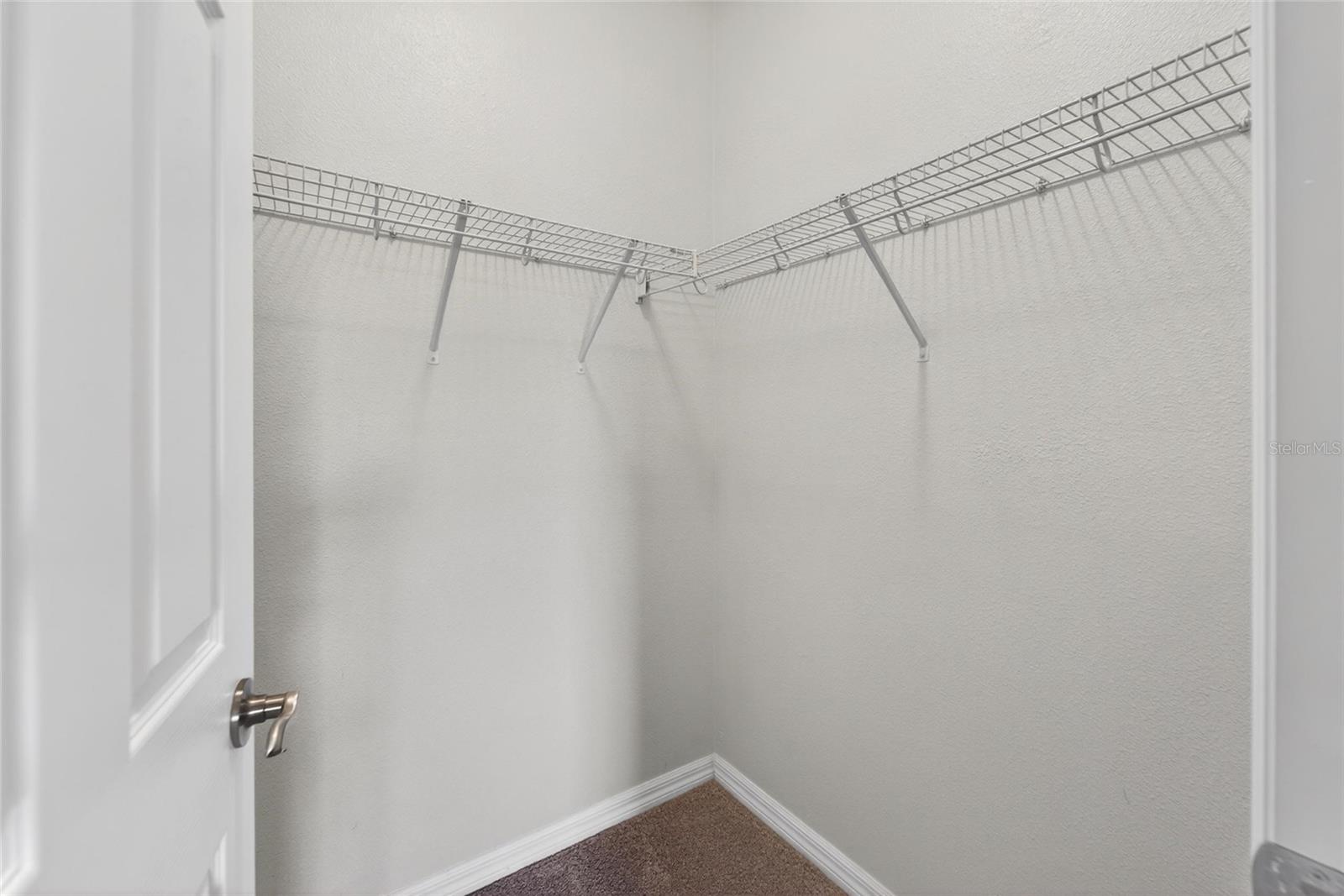 8108 MUDDY PINES PL, TAMPA, FL, 33635