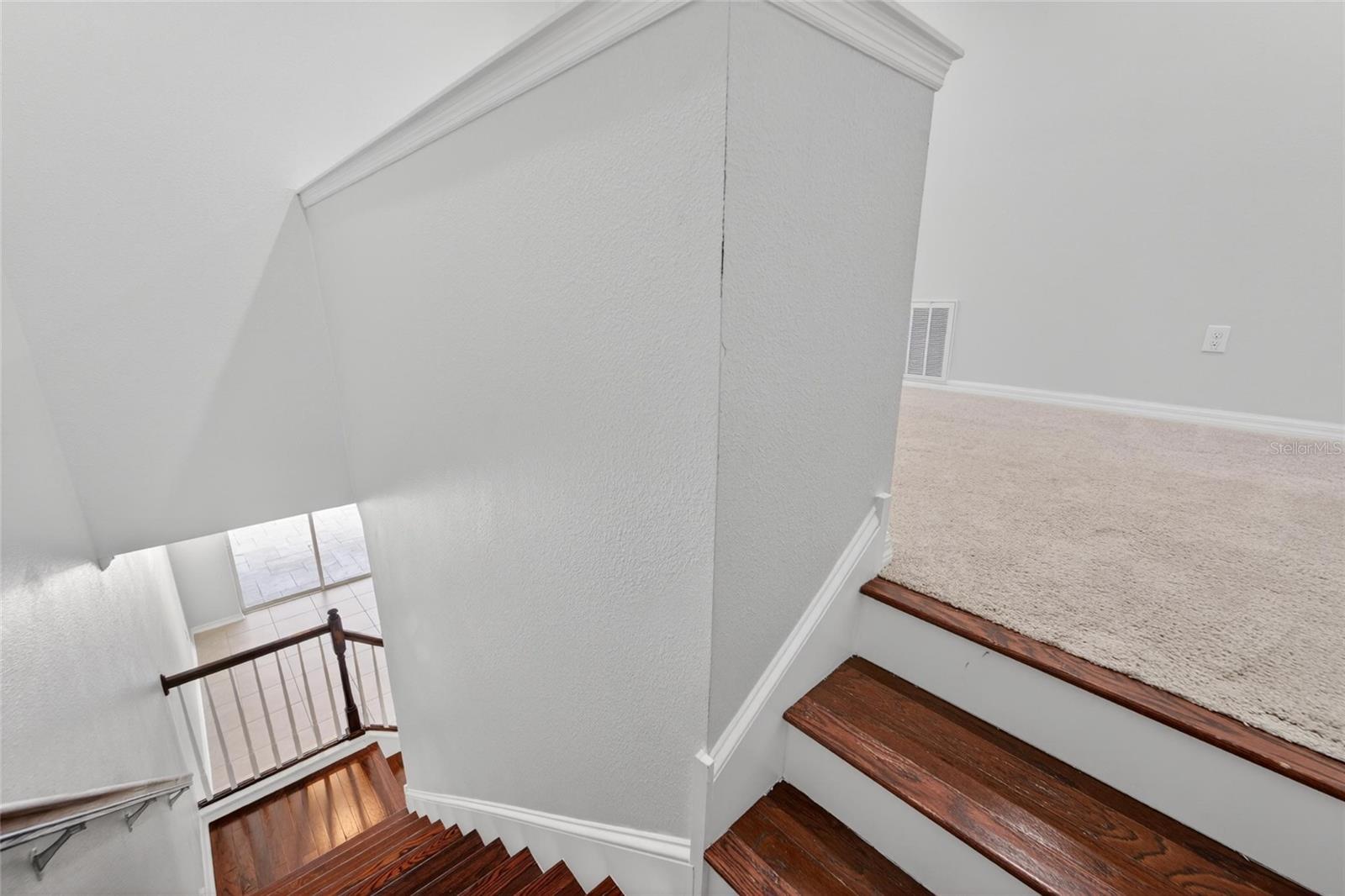 8108 MUDDY PINES PL, TAMPA, FL, 33635