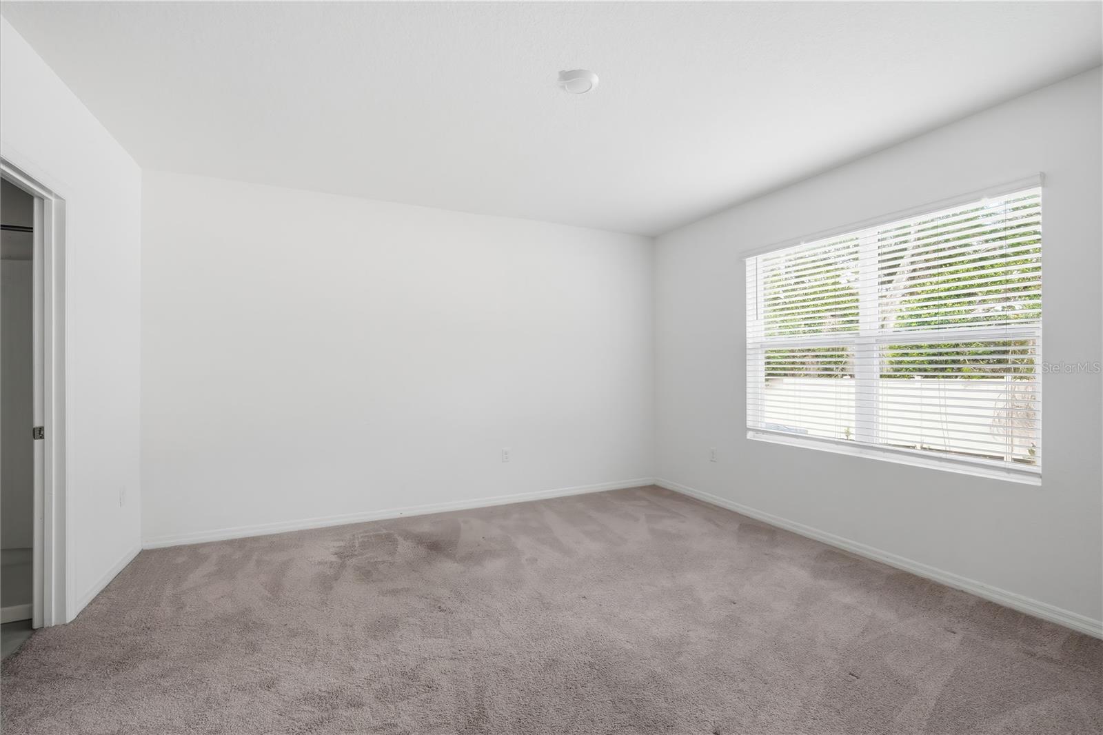 5217 HILLSIDE MEADOW PL, TAMPA, FL, 33610