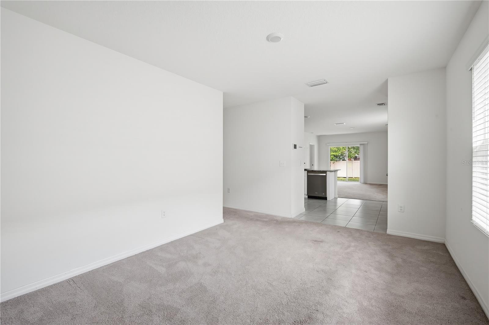 5217 HILLSIDE MEADOW PL, TAMPA, FL, 33610