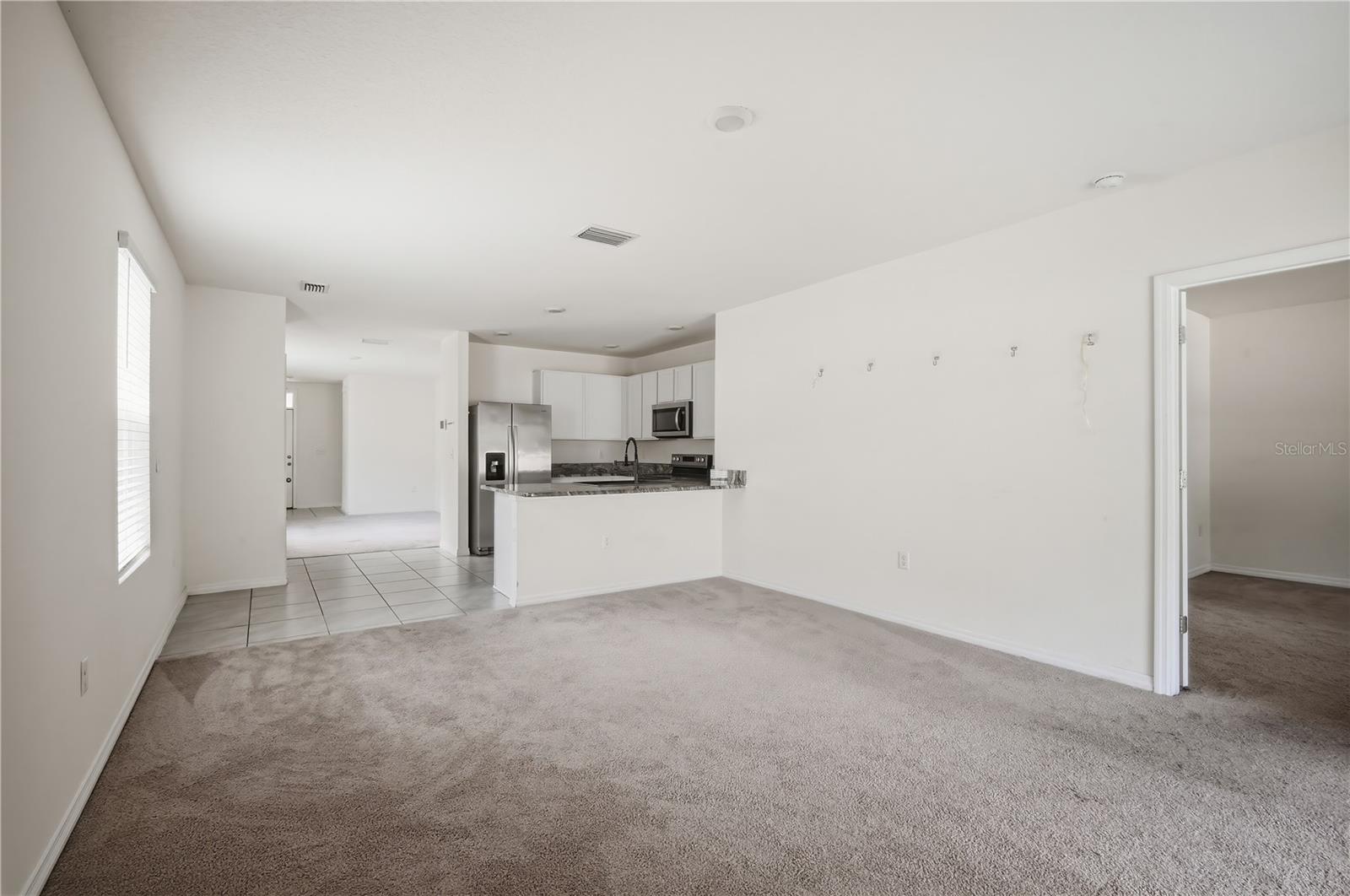 5217 HILLSIDE MEADOW PL, TAMPA, FL, 33610