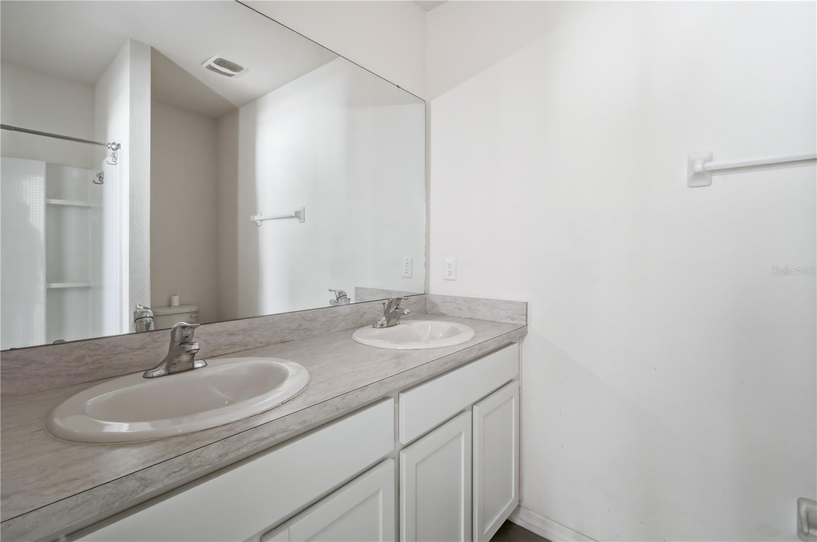 5217 HILLSIDE MEADOW PL, TAMPA, FL, 33610