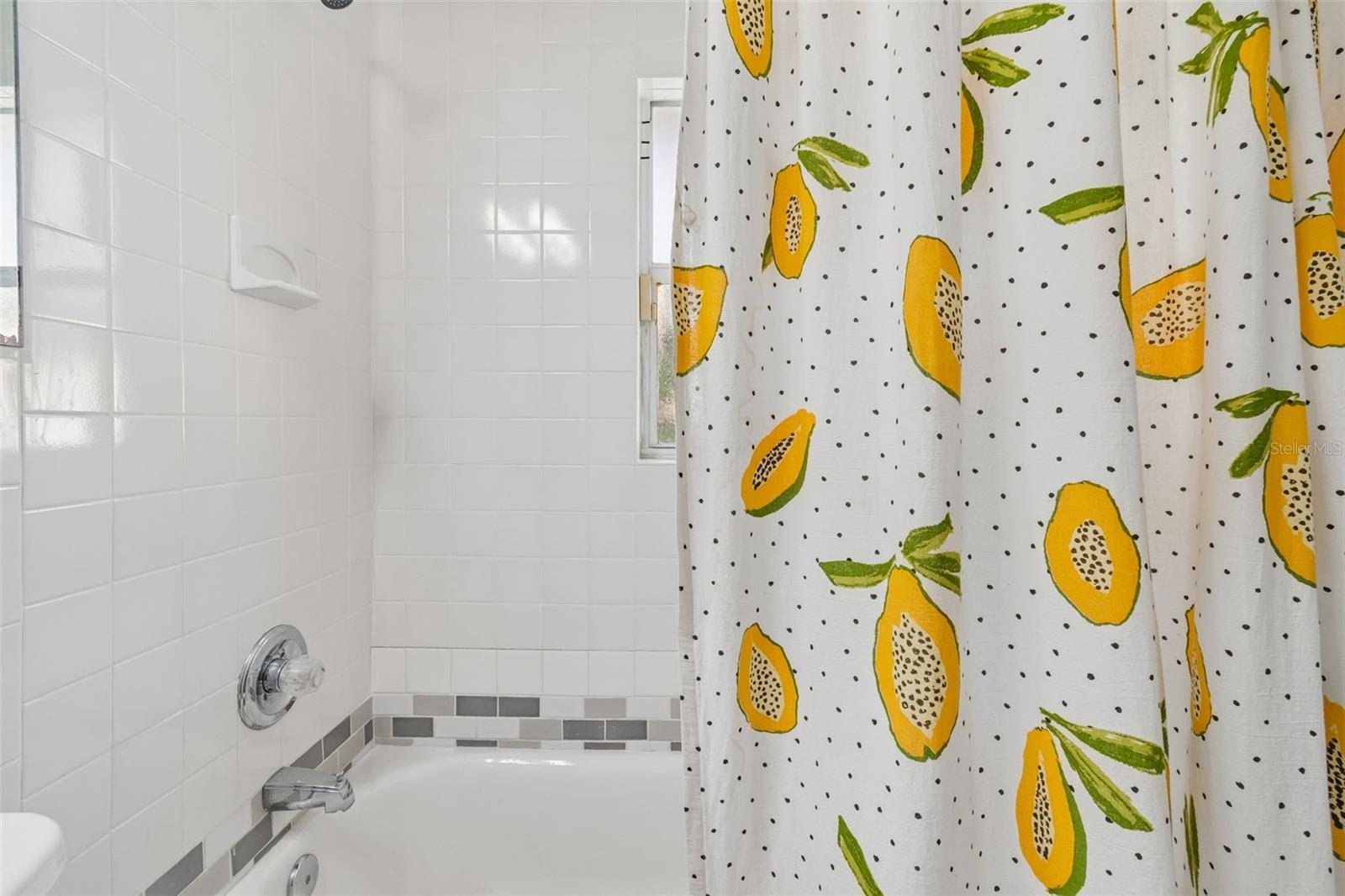 2301 W ELDRED DR, TAMPA, FL, 33603